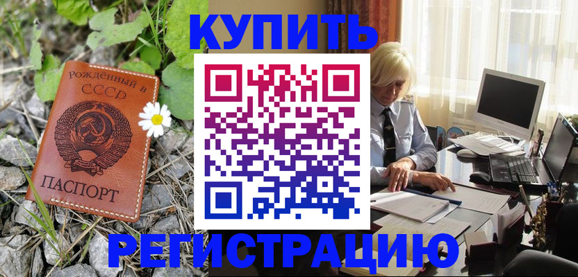 временная регистрация недорого в Долгопрудном